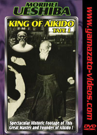 owl-carousel-video-image